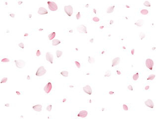 Flying Spring Cherry.