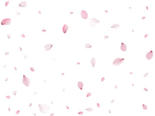 Flying Spring Cherry.