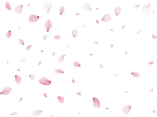 Flying Spring Cherry.