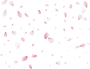 Flying Spring Cherry.