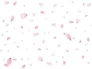 Flying Spring Cherry.