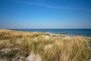 Dünen an der Ostsee