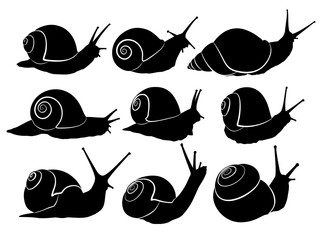 The set silhouettes of wild snails.  © designer_an
