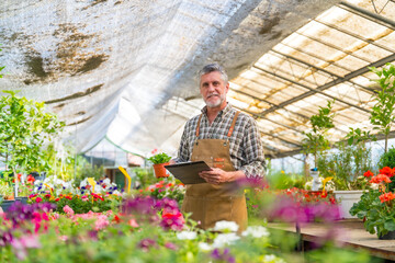 Naklejka na ściany i meble Portrait of gardener or florist working in a nursery inside the flower greenhouse, taking inventory with a folder in the sunset