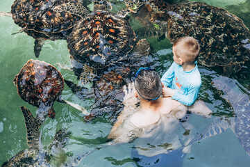 Happy dad and son swimming with turtles in nature pool. Zanzibar island - obrazy, fototapety, plakaty