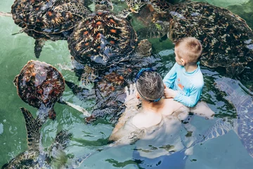 Papier Peint photo Lavable Zanzibar Happy dad and son swimming with turtles in nature pool. Zanzibar island