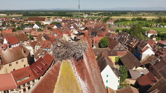 Stork Nest on a top of Church in Eguisheim village in the Alsace province, France. Aerial Drone Shot Picturesque village