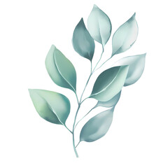 Eucalyptus leaves watercolor hand-drawn white background