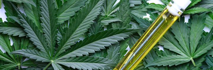 Test tube with marijuana extract lying on green cannabis leaves. Cannabis based pharmaceuticals concept