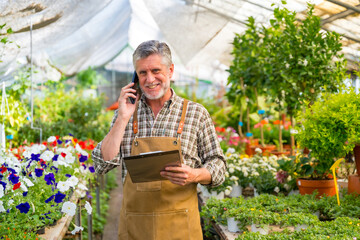 Elderly gardener working in a nursery inside the flower greenhouse smiling making a call