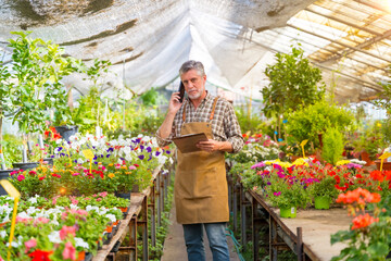 Fototapeta na wymiar Elderly gardener working in a nursery inside the flower greenhouse on a job call