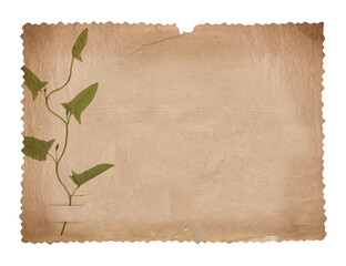 Vintage background of old paper texture with dry plant