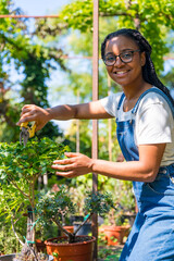 Portrait of black ethnic woman with braids gardener working in the nursery inside the greenhouse...
