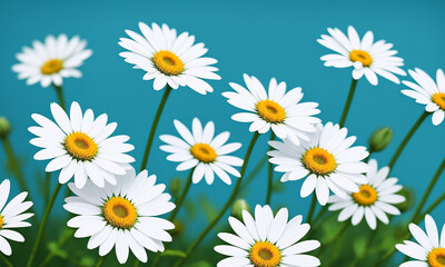 Obraz premium Beautiful daisies on a blue background. Generative AI.