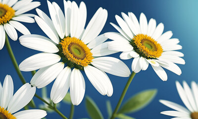 Fototapeta premium Beautiful daisies on a blue background. Generative AI.
