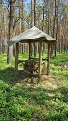 Oaza dla zwierząt leśnych: Karmnik w otoczeniu gęstego lasu, gdzie drzewa bujnie się rozpościerają, a zielenią otula malownicze miejsce. Sarny i inne zwierzęta odnajdują tu smakołyki i jedzenie
