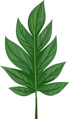 Green Leaf nature element 