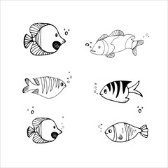 A set of marine animals, sea turtle, clown fish,shells and starfish, jellyfish. Vector linear illustration, black and white hand-drawn illustration highlighted on a white background