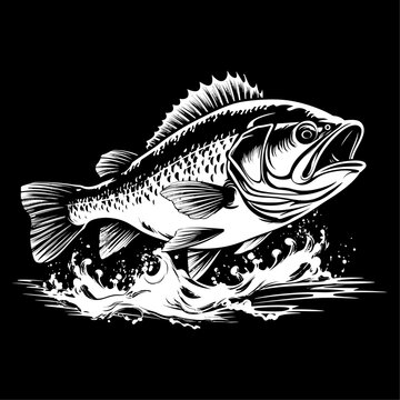 Big bass fish black and white vector art, isolated on black background, vector illustration.