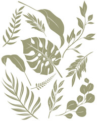 tropical background leaves