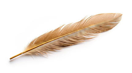 Bird feather on white background. Beautiful bird plumage or wing element, isolated smooth feather. Generated AI.