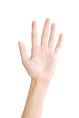 Fototapeta premium Man's hand shows open palm isolated on white background