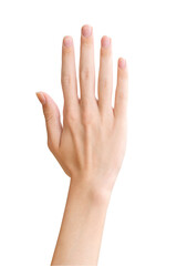 Human hand isolated on a transparent background PNG