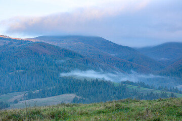 Light Fog in the Wooded Valley of the Carpathians