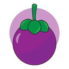 illustration of a mangosteen