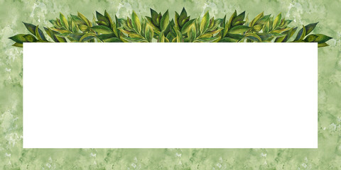 Hand drawn watercolor borders, frame of green ruscus branches with leaves for wedding, birthday, greeting card, menu, banner, border, stickers. 