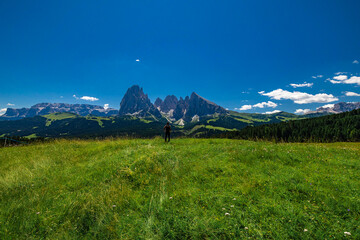 landscape in the mountains