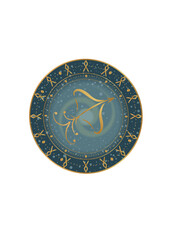Obraz na płótnie Canvas The illustration - zodiac sign in the gold color.