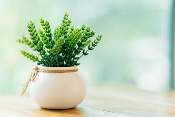 Decorate the house with a small plant on the dining table. Home decorating ideas.