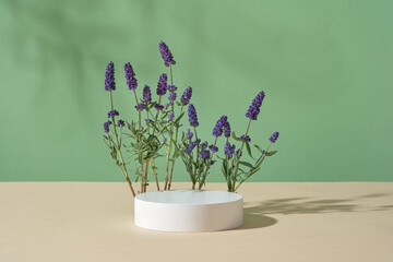 Many purple lavender flowers are decorated behind round-shaped podium. Lavender (Lavandula) reduces...