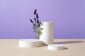 Three white podiums with blooming lavender on purple background. Abstract scene with minimalist...