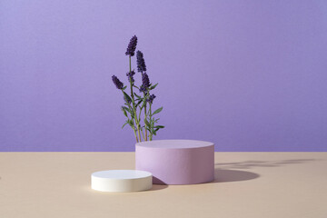 Pedestal for cosmetic product and packaging mockups presentation. Cylinder white and purple podiums with fresh lavender flowers on purple background. Concept with natural flower