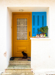Stray cat. Cat living on the street on the Greek island of Samos.