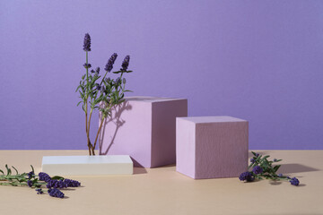 Minimal empty display product presentation scene with cylinder podiums and bunches of blooming lavender decorated on a purple background. The scent of lavender can improve sleep quality