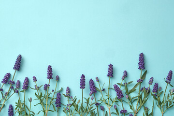 Top view, flat lay of creative frame made of lavender flowers on pastel blue background. Lavender...