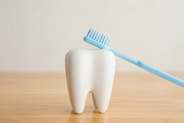 White healthy tooth model and blue dental toothbrush on wooden table with white wall background...