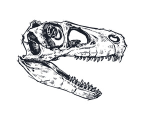 Dino Skull (Vector)