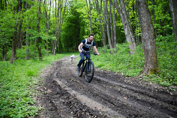 Fototapeta premium man on a mountain bike in the forest