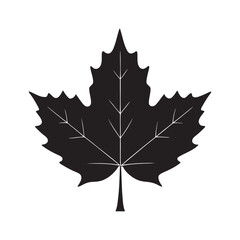 Fototapeta premium Maplle leaf silhouette logo isolated on white background