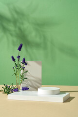 White podium in different shapes are arranged on green background with lavender flowers. Lavender...