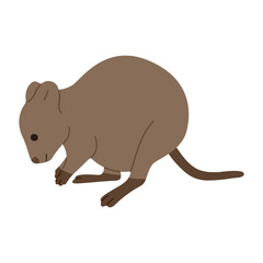 quokka  single 2 PNG