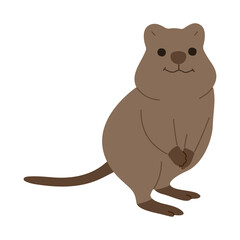 quokka  single 5 PNG