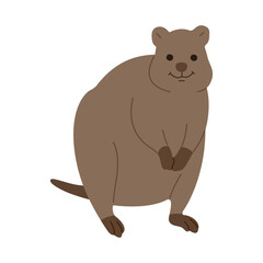 quokka  single 9 PNG