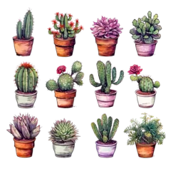 Foto auf Alu-Dibond Kaktus im Topf Watercolor purple cactus flowers clip art illustration transparent background, PNG 