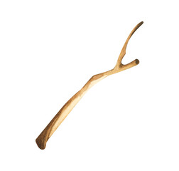 Tree dry branches. Watercolor illustration.