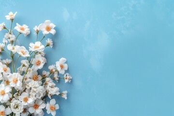 Small beautiful flower blossoms on blue pastel background with copy space. Floral pattern layout with a lots of place for adding text